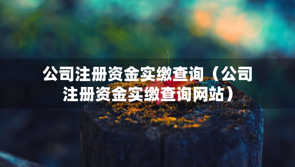 公司注冊資金實繳查詢（公司注冊資金實繳查詢網(wǎng)站）