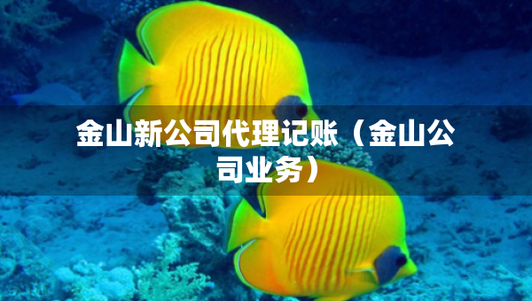 金山新公司代理記賬（金山公司業(yè)務(wù)）