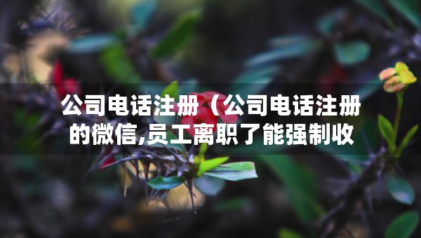 公司電話注冊（公司電話注冊的微信,員工離職了能強制收回嗎）