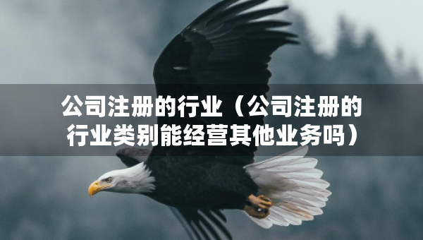 公司注冊的行業(yè)（公司注冊的行業(yè)類別能經(jīng)營其他業(yè)務嗎）