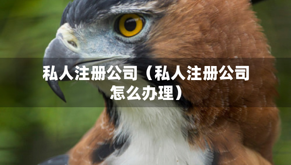 私人注冊公司（私人注冊公司怎么辦理）