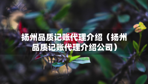 揚(yáng)州品質(zhì)記賬代理介紹（揚(yáng)州品質(zhì)記賬代理介紹公司）