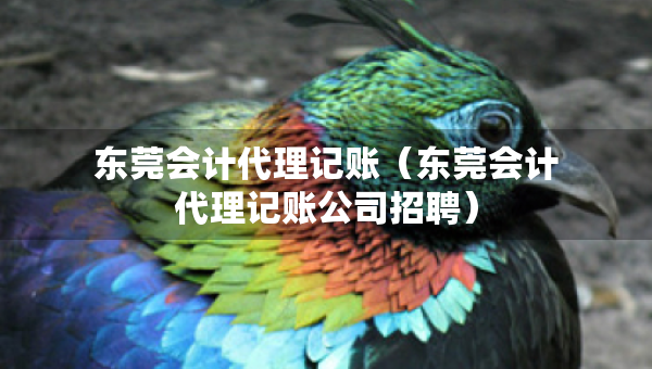 東莞會計代理記賬（東莞會計代理記賬公司招聘）