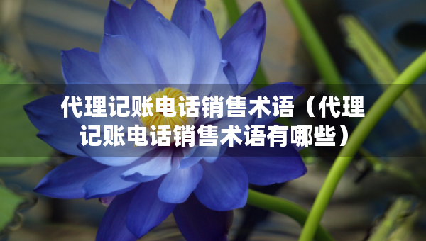 代理記賬電話銷售術(shù)語(yǔ)（代理記賬電話銷售術(shù)語(yǔ)有哪些）