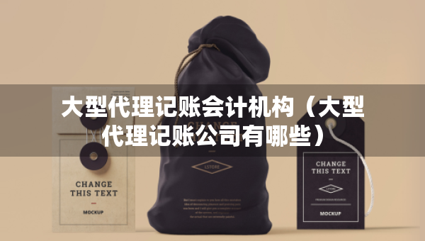 大型代理記賬會(huì)計(jì)機(jī)構(gòu)（大型代理記賬公司有哪些）
