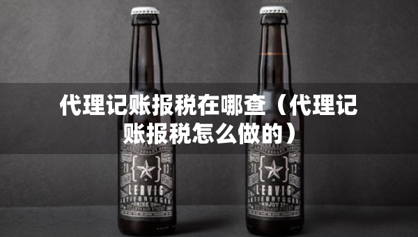 代理記賬報(bào)稅在哪查（代理記賬報(bào)稅怎么做的）