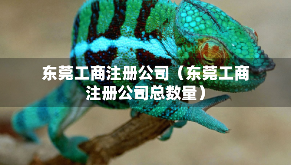 東莞工商注冊(cè)公司（東莞工商注冊(cè)公司總數(shù)量）