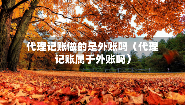 代理記賬做的是外賬嗎（代理記賬屬于外賬嗎）