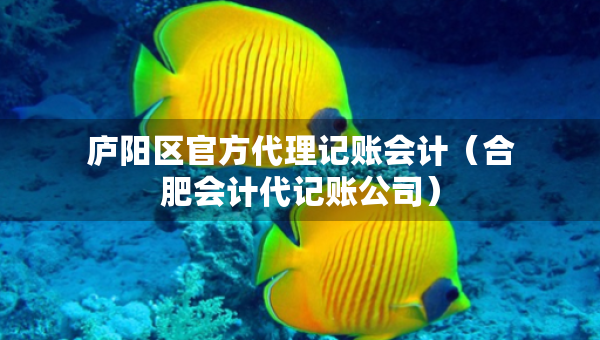 廬陽區(qū)官方代理記賬會計（合肥會計代記賬公司）