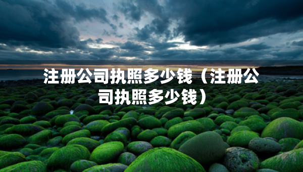 注冊(cè)公司執(zhí)照多少錢(qián)（注冊(cè)公司執(zhí)照多少錢(qián)）