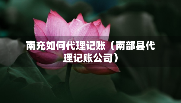 南充如何代理記賬（南部縣代理記賬公司）