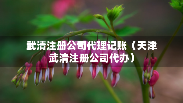 武清注冊公司代理記賬（天津武清注冊公司代辦）