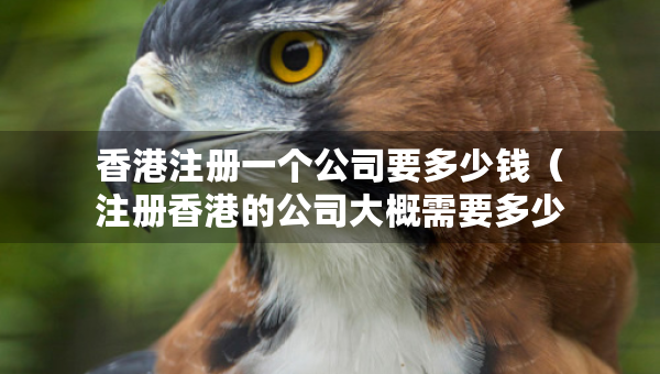 香港注冊一個(gè)公司要多少錢（注冊香港的公司大概需要多少錢）