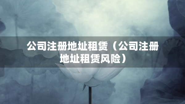 公司注冊(cè)地址租賃（公司注冊(cè)地址租賃風(fēng)險(xiǎn)）