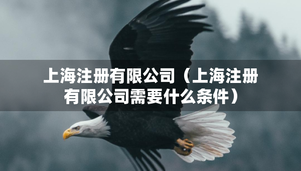 上海注冊(cè)有限公司（上海注冊(cè)有限公司需要什么條件）