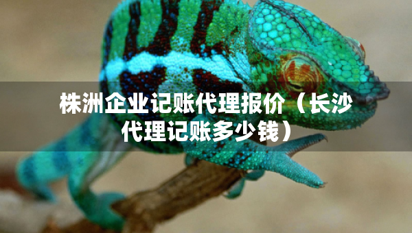 株洲企業(yè)記賬代理報(bào)價(jià)（長沙代理記賬多少錢）