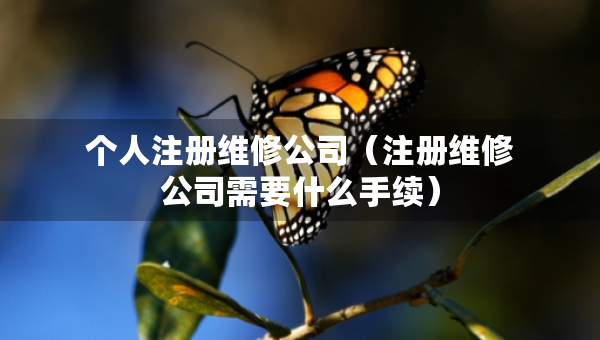 個(gè)人注冊(cè)維修公司（注冊(cè)維修公司需要什么手續(xù)）