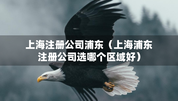 上海注冊(cè)公司浦東（上海浦東注冊(cè)公司選哪個(gè)區(qū)域好）
