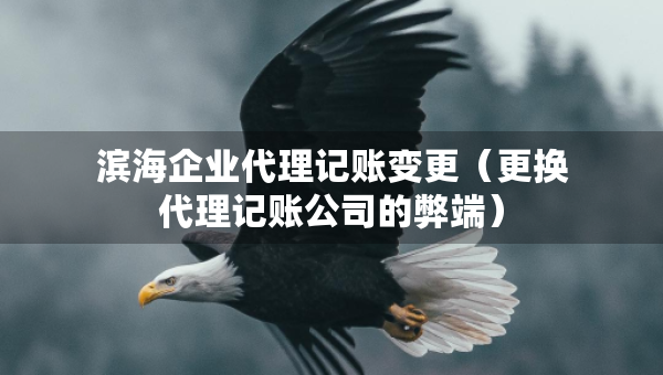 濱海企業(yè)代理記賬變更（更換代理記賬公司的弊端）