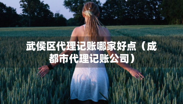武侯區(qū)代理記賬哪家好點（成都市代理記賬公司）