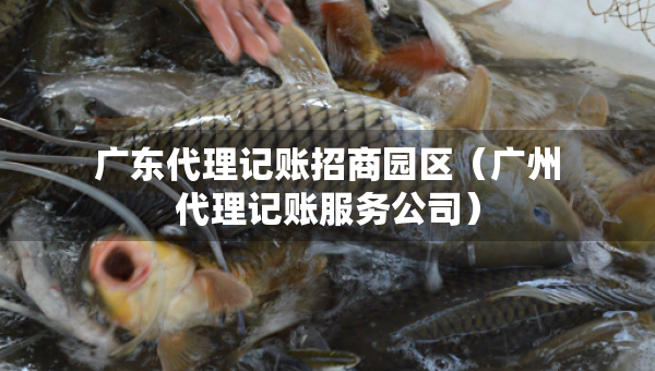 廣東代理記賬招商園區(qū)（廣州代理記賬服務公司）
