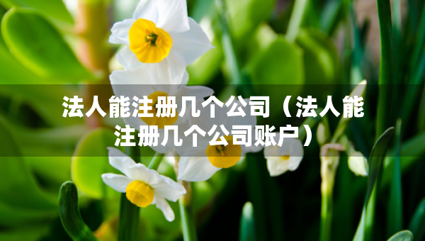 法人能注冊(cè)幾個(gè)公司（法人能注冊(cè)幾個(gè)公司賬戶）