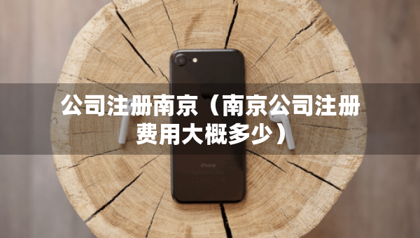 公司注冊南京（南京公司注冊費用大概多少）