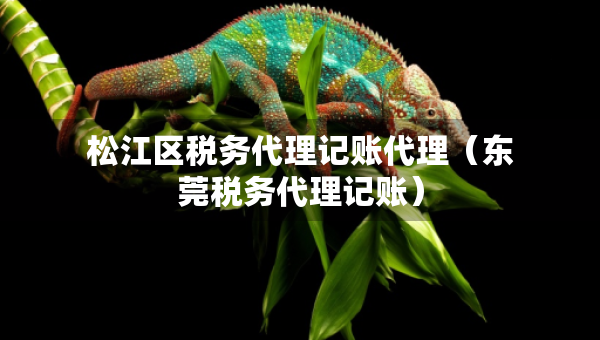 松江區(qū)稅務(wù)代理記賬代理（東莞稅務(wù)代理記賬）