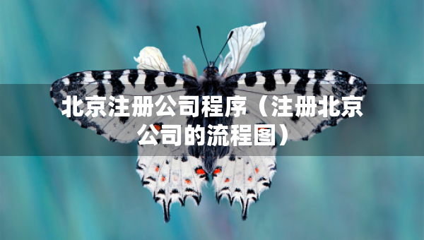 北京注冊(cè)公司程序（注冊(cè)北京公司的流程圖）