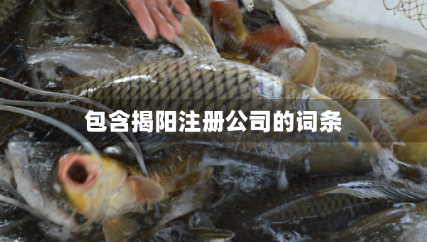 包含揭陽注冊公司的詞條