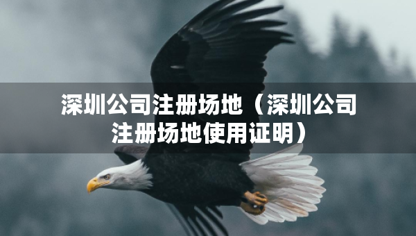 深圳公司注冊場地（深圳公司注冊場地使用證明）