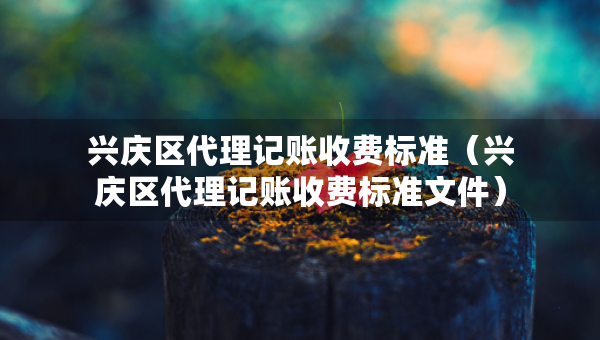 興慶區(qū)代理記賬收費(fèi)標(biāo)準(zhǔn)（興慶區(qū)代理記賬收費(fèi)標(biāo)準(zhǔn)文件）