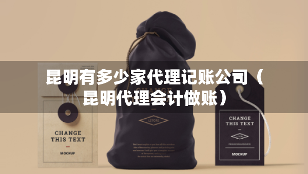 昆明有多少家代理記賬公司（昆明代理會(huì)計(jì)做賬）