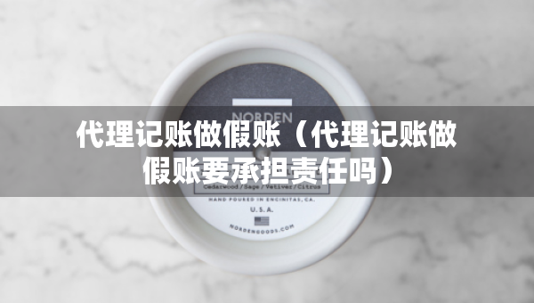 代理記賬做假賬（代理記賬做假賬要承擔(dān)責(zé)任嗎）