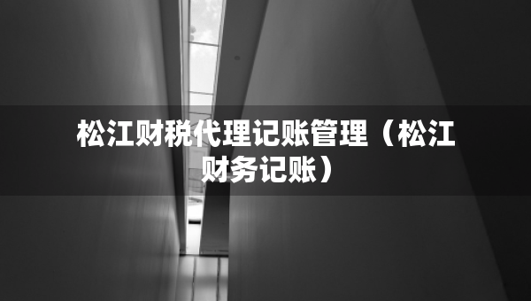 松江財稅代理記賬管理（松江財務記賬）