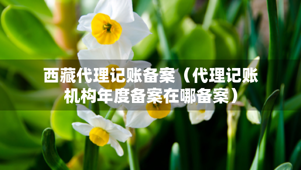 西藏代理記賬備案（代理記賬機(jī)構(gòu)年度備案在哪備案）
