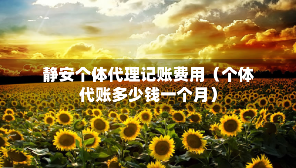 靜安個(gè)體代理記賬費(fèi)用（個(gè)體代賬多少錢一個(gè)月）