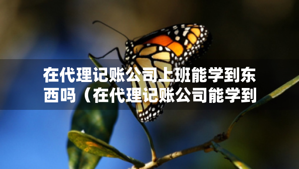 在代理記賬公司上班能學(xué)到東西嗎（在代理記賬公司能學(xué)到什么）