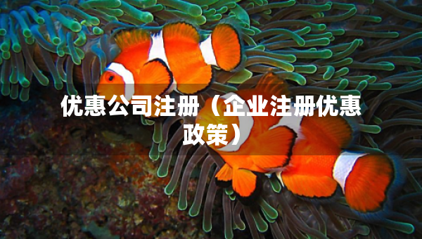 優(yōu)惠公司注冊(cè)（企業(yè)注冊(cè)優(yōu)惠政策）