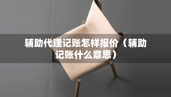 輔助代理記賬怎樣報價（輔助記賬什么意思）