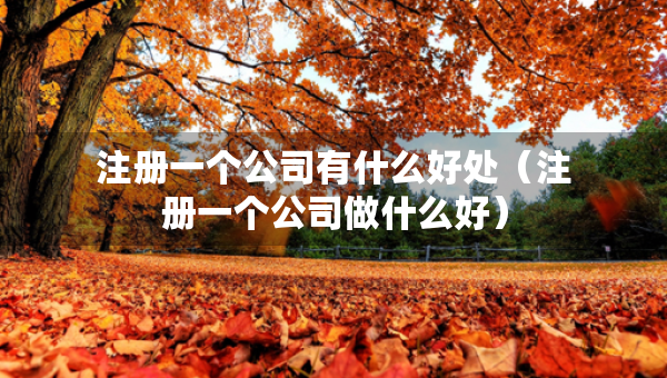 注冊一個公司有什么好處（注冊一個公司做什么好）