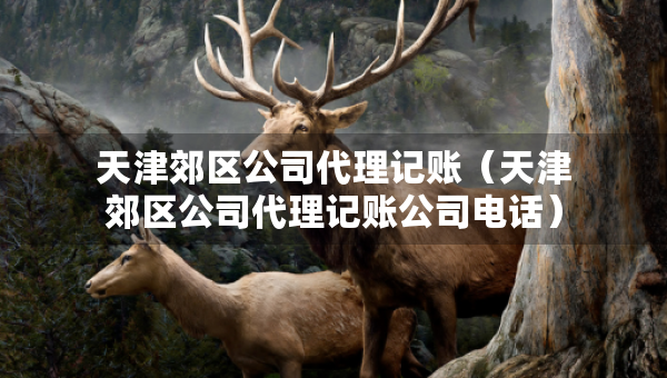 天津郊區(qū)公司代理記賬（天津郊區(qū)公司代理記賬公司電話）