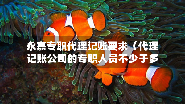 永嘉專職代理記賬要求（代理記賬公司的專職人員不少于多少人）