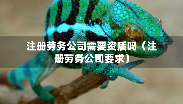 注冊勞務(wù)公司需要資質(zhì)嗎（注冊勞務(wù)公司要求）