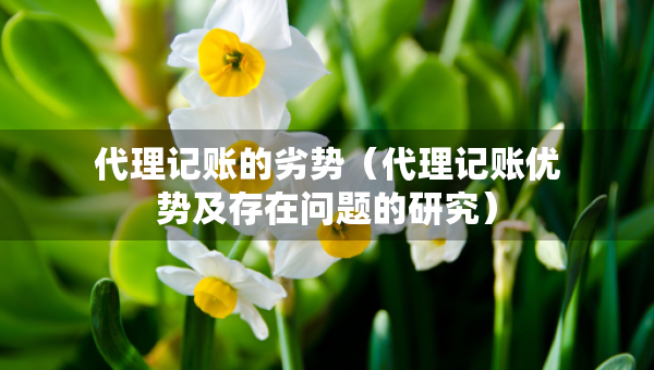 代理記賬的劣勢（代理記賬優(yōu)勢及存在問題的研究）