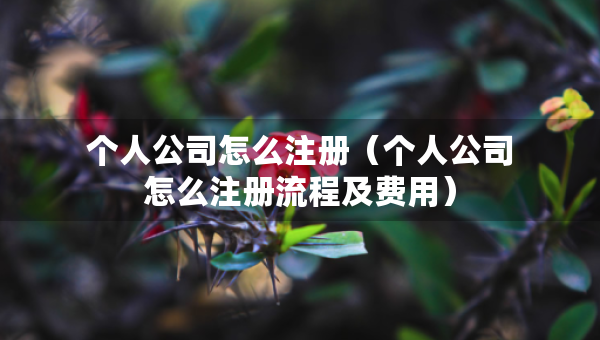 個(gè)人公司怎么注冊(cè)（個(gè)人公司怎么注冊(cè)流程及費(fèi)用）