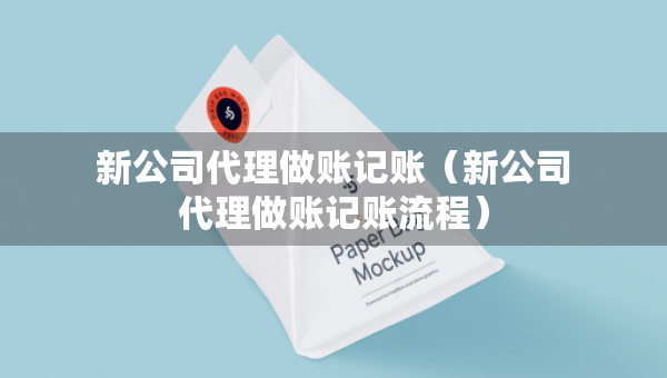 新公司代理做賬記賬（新公司代理做賬記賬流程）
