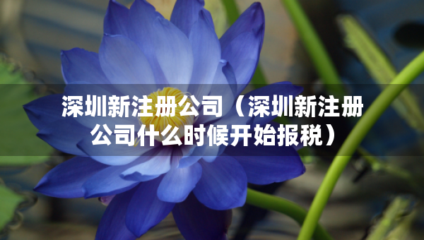 深圳新注冊公司（深圳新注冊公司什么時候開始報稅）