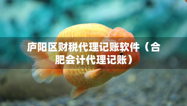 廬陽區(qū)財稅代理記賬軟件（合肥會計代理記賬）