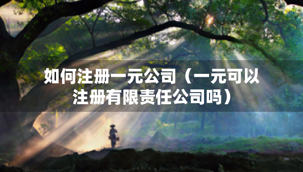 如何注冊一元公司（一元可以注冊有限責任公司嗎）